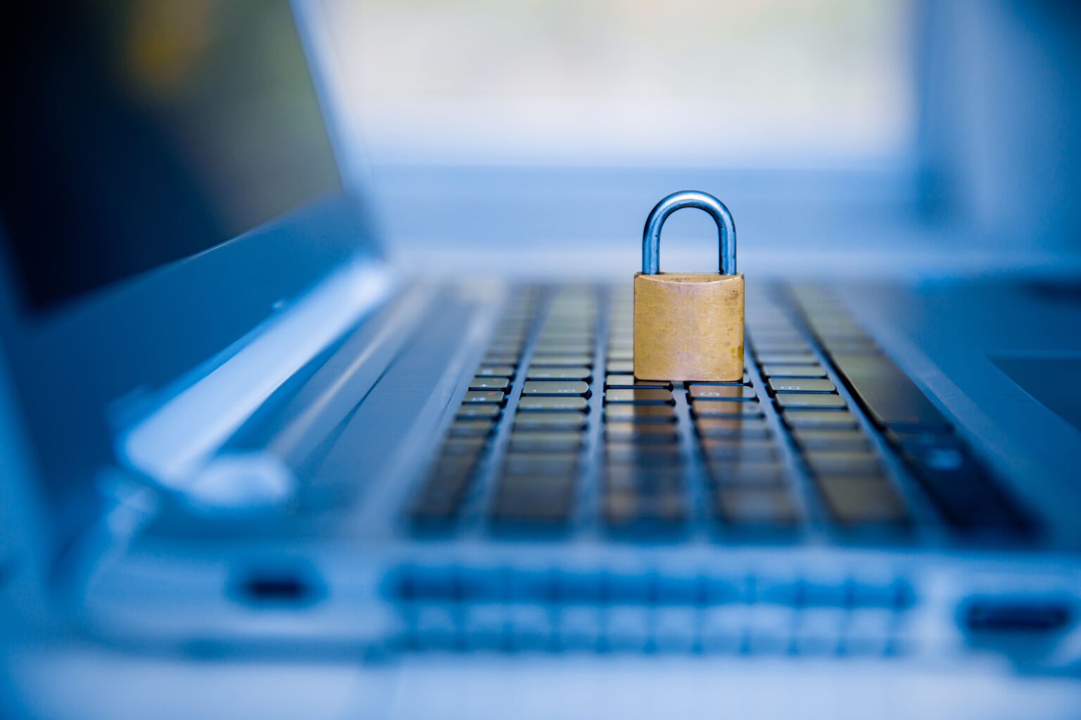 Description de l'image 4